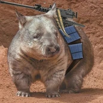 Combat Wombat Profile