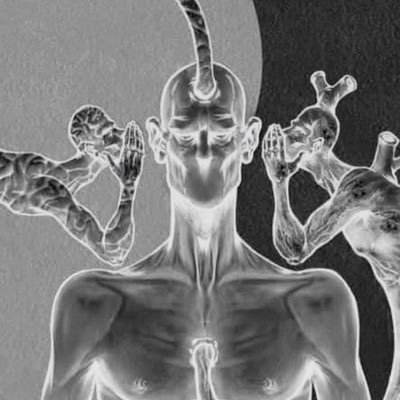 TheLawOfMan1's profile picture. TPT Funded Trader 150k #NQ