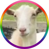 Lush the Goat 🐐 (Just watching over the Herd)(@LusciousTheGoat) 's Twitter Profile Photo