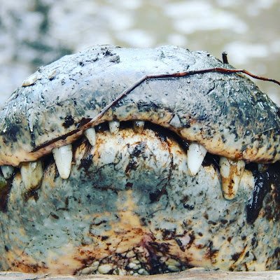 AndyJon63345761's profile picture. 