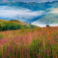 أحمد (@hamoodi_1414) Twitter profile photo