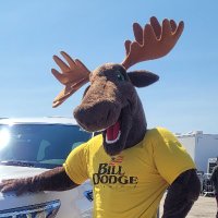 Otto the Moose(@OttoTheMoose) 's Twitter Profile Photo