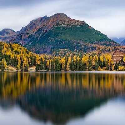 TVerath's profile picture. 