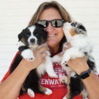 Ms. Harrison (@msharrisontech) 's Twitter Profile