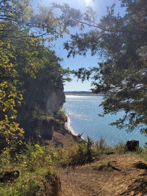 BrandiF15's profile picture. 