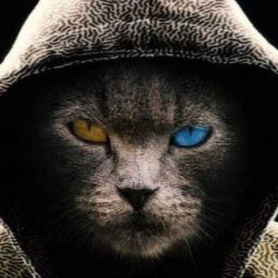 Gatox609's profile picture. 