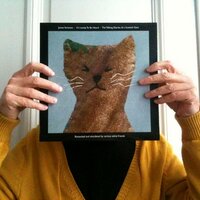 Kurt Overbergh (@kurtoverbergh) 's Twitter Profile