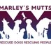 Marley's Mutts Dog Rescue (@MarleysMutts) Twitter profile photo