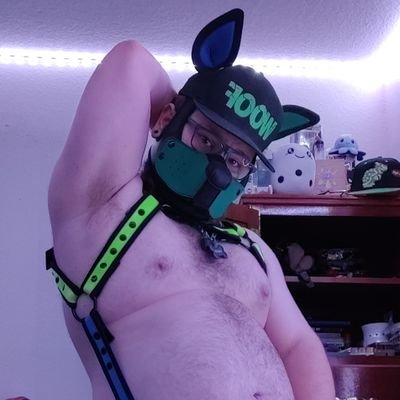 Pupbowserさんのプロフィール画像