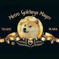 gc27hn95k8's profile picture. DOGe boyz
