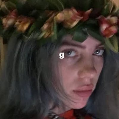 vicwildflower's profile picture. 