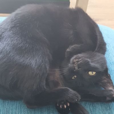 c0ffeekid's profile picture. Gemma. Northern. Very tired. She/Her.