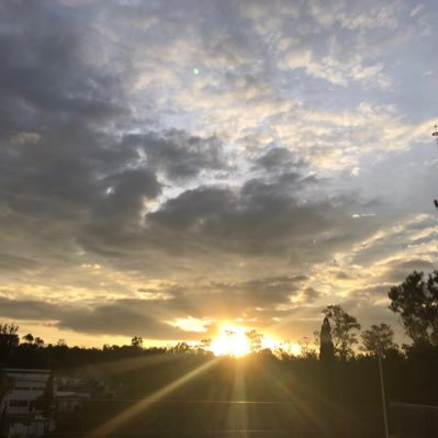 lilianafonseca's profile picture. 