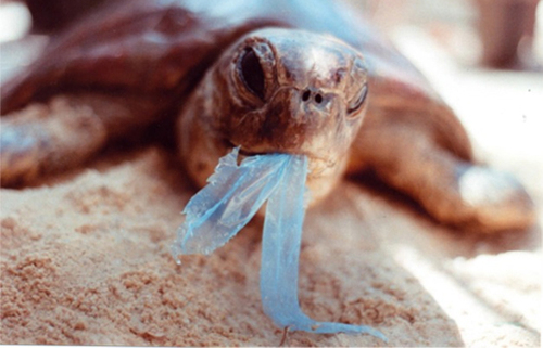 itfits's profile picture. FORECASTER OF THE YEAR 15/16 ...tracing, visualizing and describing trends and developments in design, science and changes in politics and economics ...