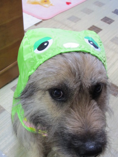 bekkin33 Profile Picture