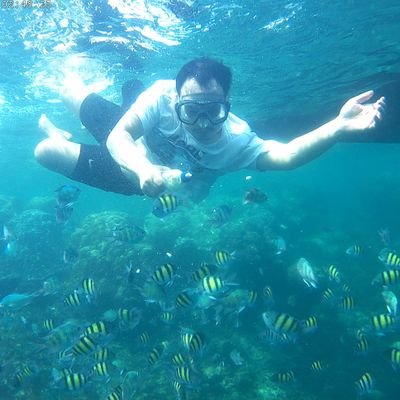 liangsa11's profile picture. Angel pokokmen