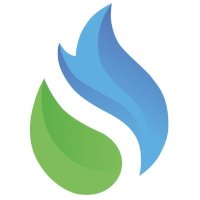 Carolinas Natural Gas Coalition(@carolinas_gas) 's Twitter Profile Photo