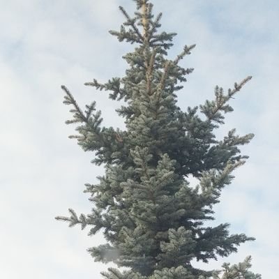 ak_julee's profile picture. 