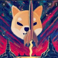 #Shiba Inu Rabbit (@shibrabbit) 's Twitter Profile