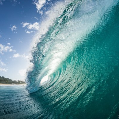 Ocean lover, photographer, and easily distracted by outdoor adventures🌊🏄‍♂️🤙🏼.