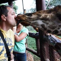 JP Murillo (@juanpemurillo) 's Twitter Profile