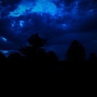 Rec (@gottaresco) Twitter profile photo