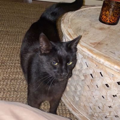 Matt53304181's profile picture. 