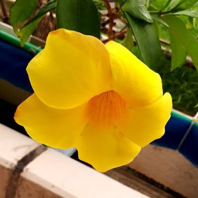 KaichiTerado's profile picture. I've been living in Okinawa for 10 years.66yo /I've started to study English again.