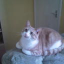 ellen lowry - @xxellie84 - Twitter