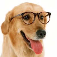 Profe de inglés (@vidadeprofe1) 's Twitter Profile Photo Profe de inglés (@vidadeprofe1) 's Twitter Profile Photo