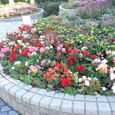 くま吉さんのプロフィール画像