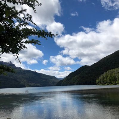 robertopalomin2's profile picture. la patria es el otro