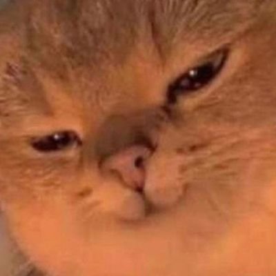 royal_yeeter Profile