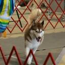 Bud Norris - @Bud914 - Twitter