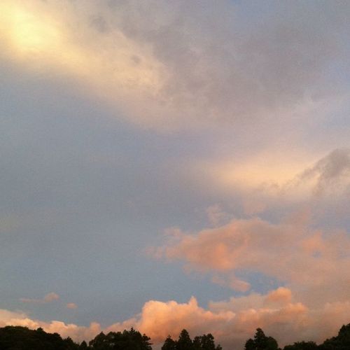 mirymirymiry's profile picture. 煮込み自慢/ヘルシオウォーターオーブン/ホットクック 2.4 1.6 1.0 ヘルシオ4兄弟