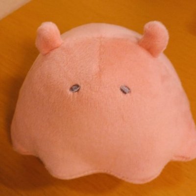 ciel_alenconn's profile picture. 迷い猫オーバーラン