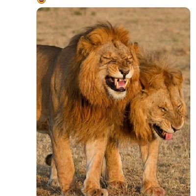 sandy_kimathi's profile picture. 