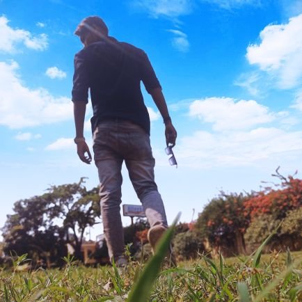 domainid3's profile picture. 