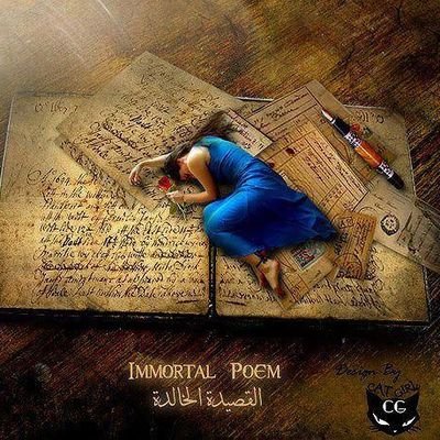 shhd12085806's profile picture. 