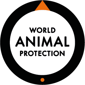 World Animal Protection Africa Profile