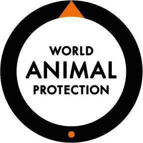 We move the world to protect animals. 
We put animals on the global agenda. 
Together we can end animal suffering. #changelivesforever