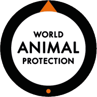 World Animal Protection Africa(@MoveTheWorldAF) 's Twitter Profile Photo