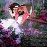 لطيفه (@l6efa10) 's Twitter Profile Photo