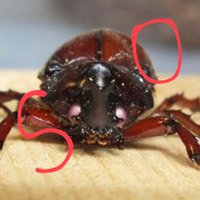 so (@8fuzzy6z7odo7va) 's Twitter Profile