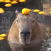 Lampino (@lampejonathan) 's Twitter Profile
