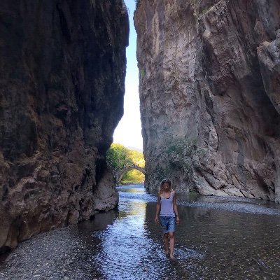 imarinou's profile picture. 