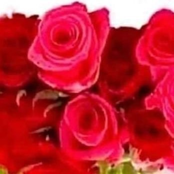 دموع الورد عبر السنين