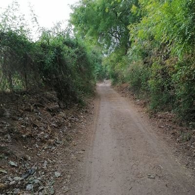 Vaibhav60636403's profile picture. mechanical engineer