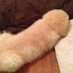 fantasy suits (@suitsfantasy52) Twitter profile photo fantasy suits (@suitsfantasy52) Twitter profile photo