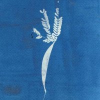 Esto no es una poesía (@noesunapoesia) 's Twitter Profile